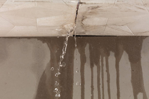 Professional Structural Drying technician working in Island Park, NY